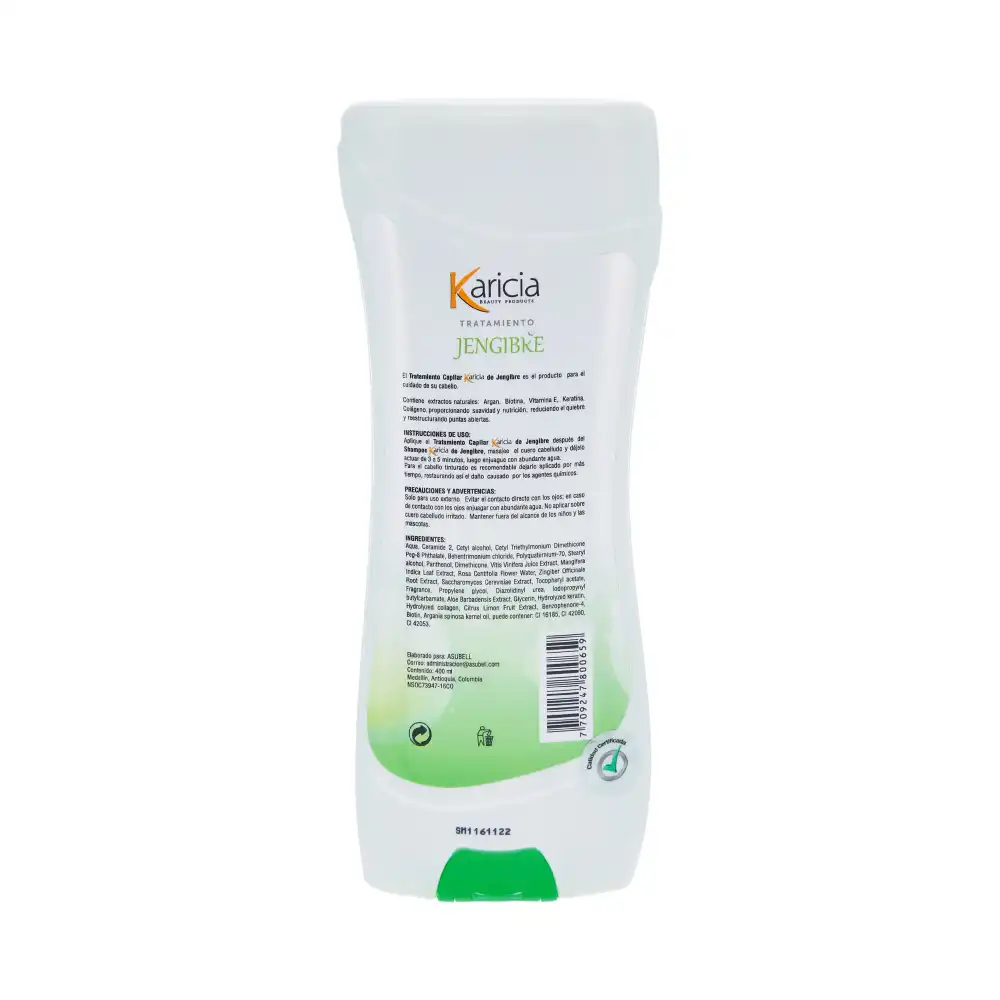 Tratamiento-jengibre-posterior-400-ml